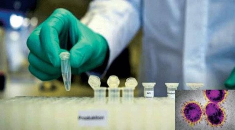 দ্রুত অ্যান্টিবডি হারায় উপসর্গহীন আক্রান্তরা - West Bengal News 24 দ্রুত অ্যান্টিবডি হারায় উপসর্গহীন আক্রান্তরা - West Bengal News 24