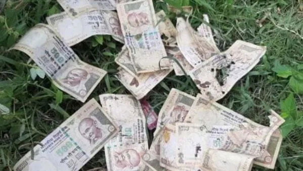 জঙ্গল থেকে উদ্ধার প্রচুর পুরনো ৫০০ টাকার নোট! রহস্য দুর্গাপুরে - West Bengal News 24