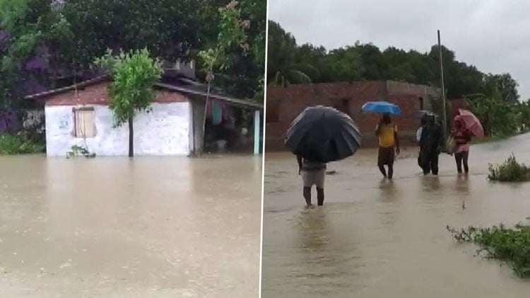 বন্যার ফলে ক্ষতির সম্মুখীন ৪৪ হাজারের বেশি জমির ফসল, সরকারের কাছে কৃষকদের সাহায্যের দাবি - West Bengal News 24