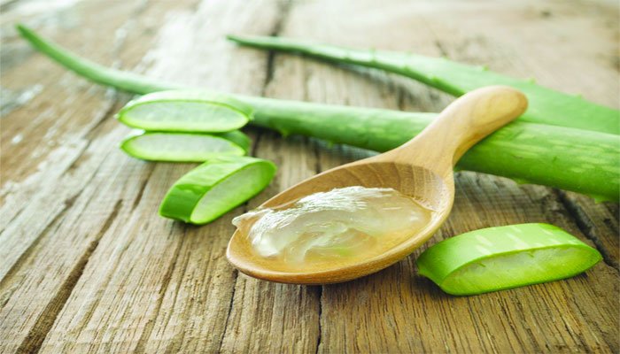 স্তন ক্যান্সারে কার্যকর অ্যালোভেরা - West Bengal News 24