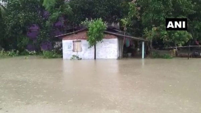 সাপের সামনে সন্তানকে নিয়ে কোমর জলে দাঁড়িয়ে মা, ১২ ঘণ্টা পর টনক নড়ল প্রশাসনের - West Bengal News 24