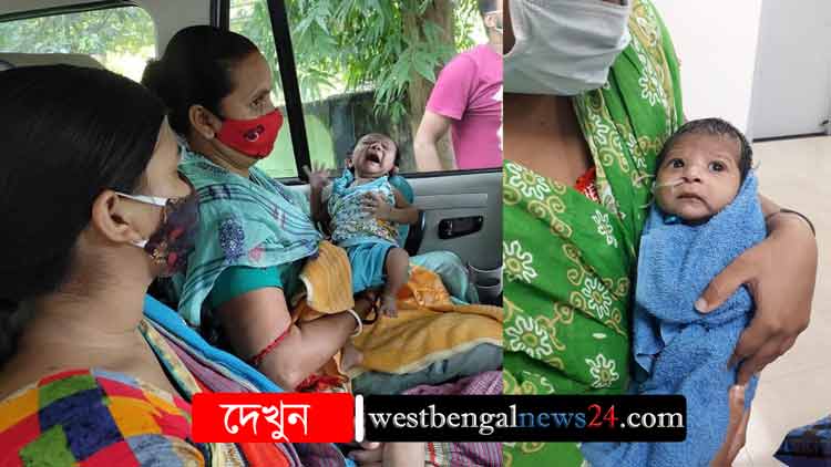 সুস্থ হয়ে ফিরল ‘পুচকু’, স্বাগত জানালেন ঝাড়গ্রামবাসী - West Bengal News 24