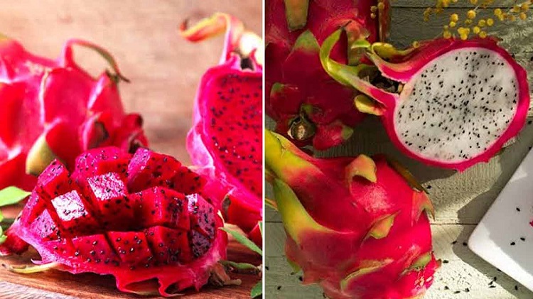 কোষ্ঠকাঠিন্য ও রক্তশূন্যতা দূর করে ড্রাগন ফল - West Bengal News 24