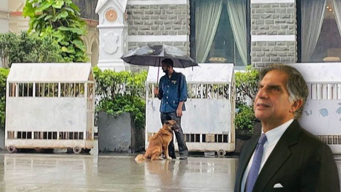 বৃষ্টিতে কুকুরের মাথায় নিজের ছাতা ধরেছেন তাজ হোটেলের কর্মী, দেখে মুগ্ধ রতন টাটা - West Bengal News 24 বৃষ্টিতে কুকুরের মাথায় নিজের ছাতা ধরেছেন তাজ হোটেলের কর্মী, দেখে মুগ্ধ রতন টাটা - West Bengal News 24