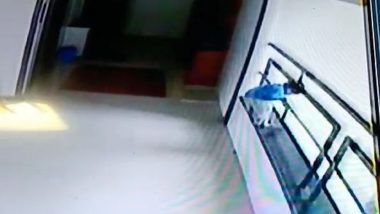 মর্মান্তিক! গুজরাটে বহুতলের ৯ তলা থেকে পড়ে মৃত্যু দু বছরের শিশুর - West Bengal News 24