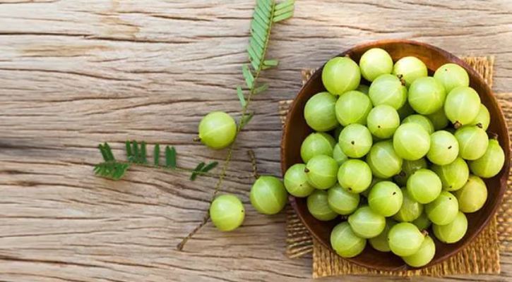 ধূমপান ছাড়তে সাহায্য করে যে তিনটি খাবার - West Bengal News 24