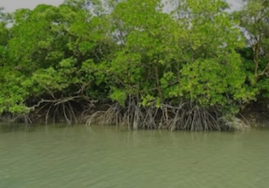 ঝড় ঠেকাতে বাংলার দ্বারস্থ মোদির গুজরাত - West Bengal News 24