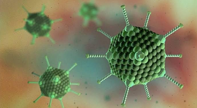 Adeno Virus Outbreak : অ্যাডিনো ভাইরাস নিয়ে সতর্ক রাজ্য সরকার, গাইডলাইন জারি স্বাস্থ্য দপ্তরের - West Bengal News 24