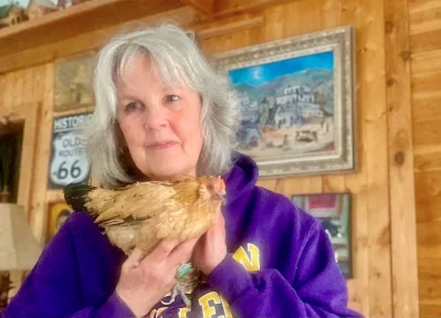 পৃথিবীর সবচেয়ে বয়স্ক মুরগির বয়স ২১ বছরের বেশি - West Bengal News 24