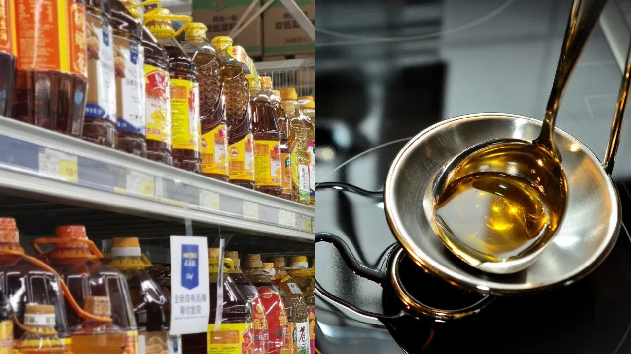 Edible Oil Price : বাড়ছে না ভোজ্য তেলের মূল্য, আগামী ১৫ মাস মধ্যবিত্তের হেঁসেলে স্বস্তি - West Bengal News 24