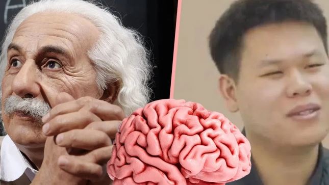 ‘আইনস্টাইনের ব্রেইন’ বিক্রি করে কোটিপতি! ২২ বছরের চিনা যুবকের কাণ্ডে হইচই - West Bengal News 24